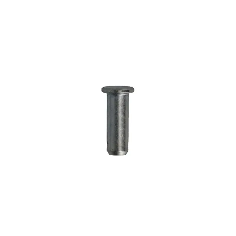 Peça código OEM 10004911 — PINO