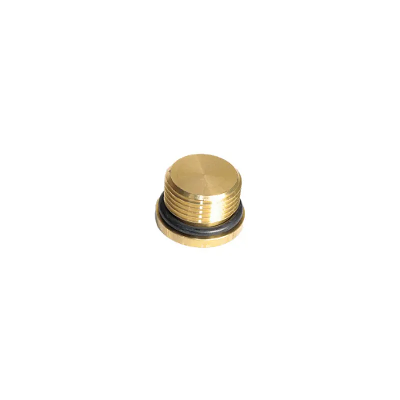 Peça código OEM 10119040 — PLUG SEXTAVADO INTER