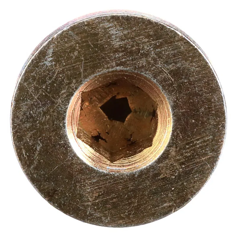 Peça código OEM 10119411 — PLUG SEXTAVADO INTER