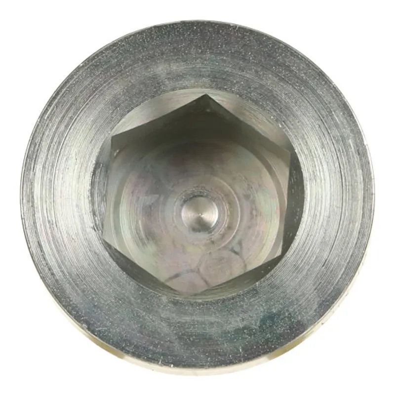Peça código OEM 10278311 — PLUG SEXTAVADO INTER