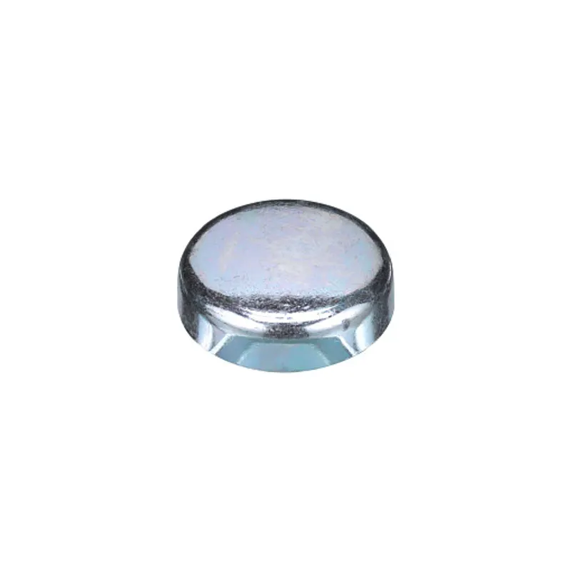 Peça código OEM 14329801 — Bujao