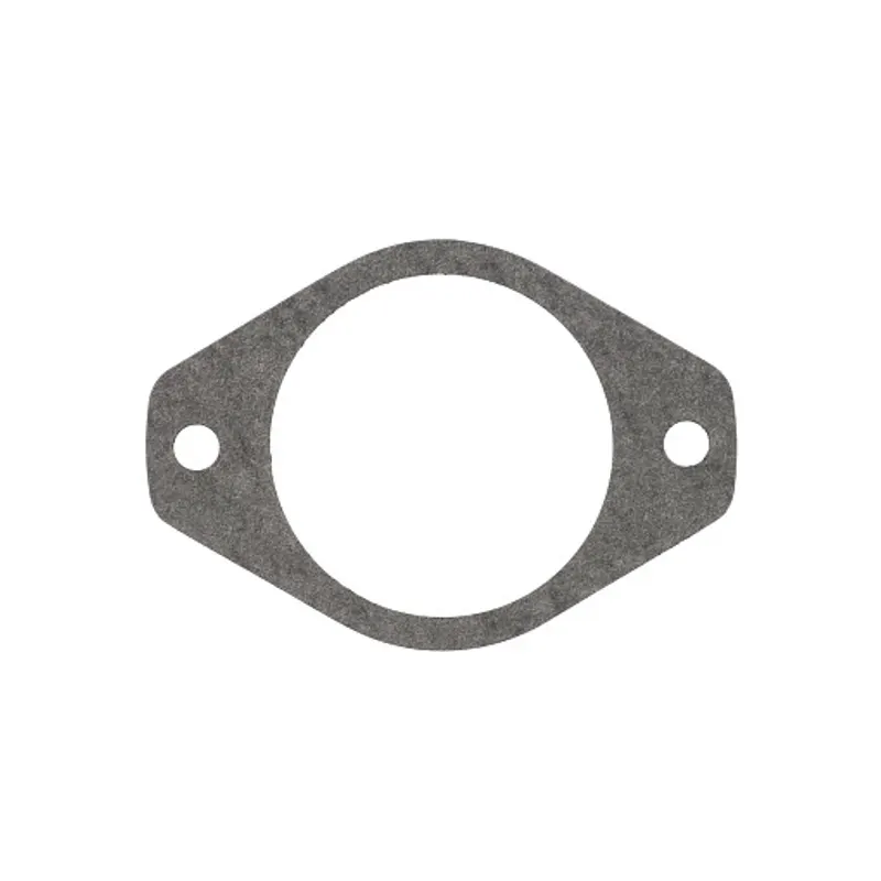 Peça código OEM 144169C2 — Gaxeta da bomba hidráulica - 1 mm espessura