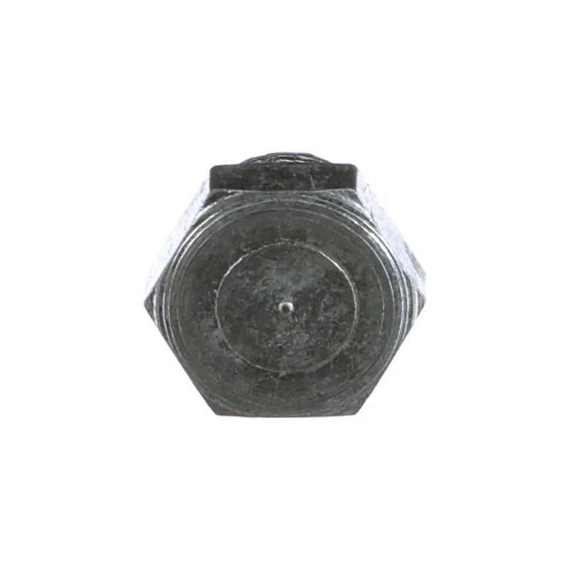 Peça código OEM 16992115 — Bujão