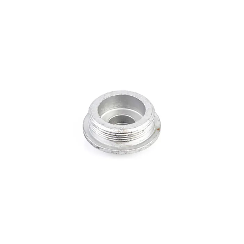Peça código OEM 16992915 — BUJÃO