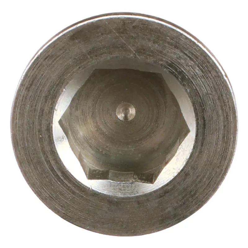Peça código OEM 16993811 — BUJÃO