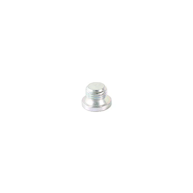 Peça código OEM 16993911 — BUJÃO