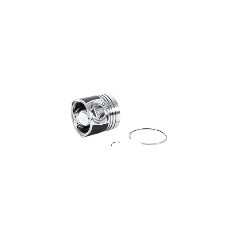 Peça código OEM 1931002 — Piston Kit