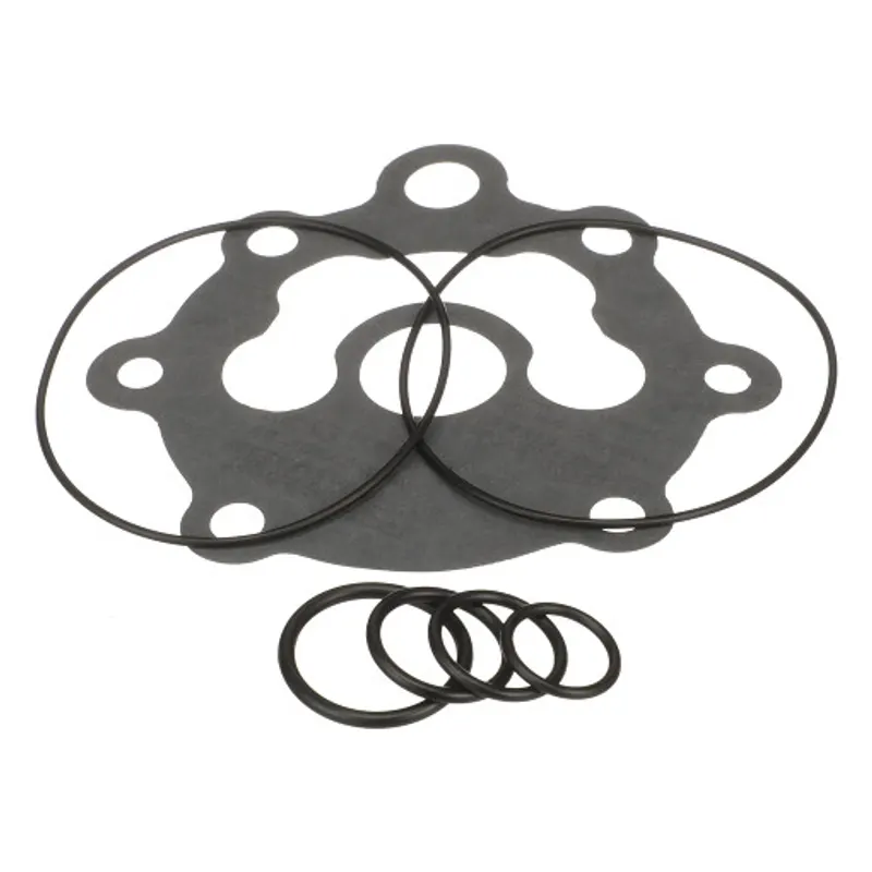 Peça código OEM 255081A1 — Hydraulic Pumps Kit