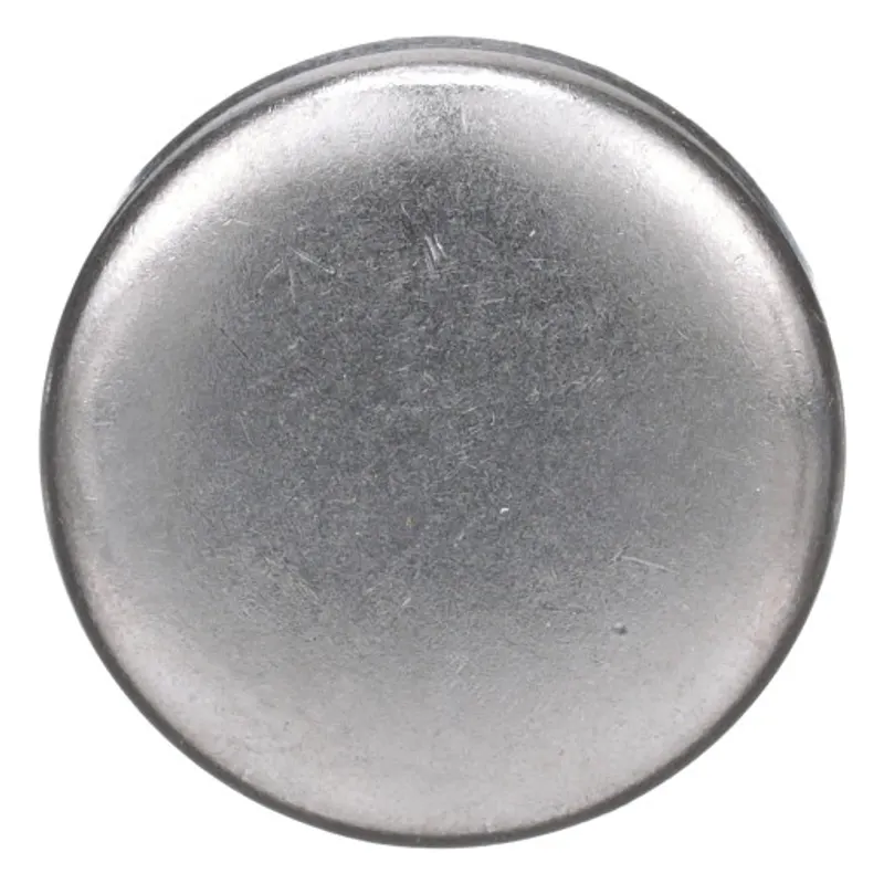Peça código OEM 4895037 — Expansion Plug