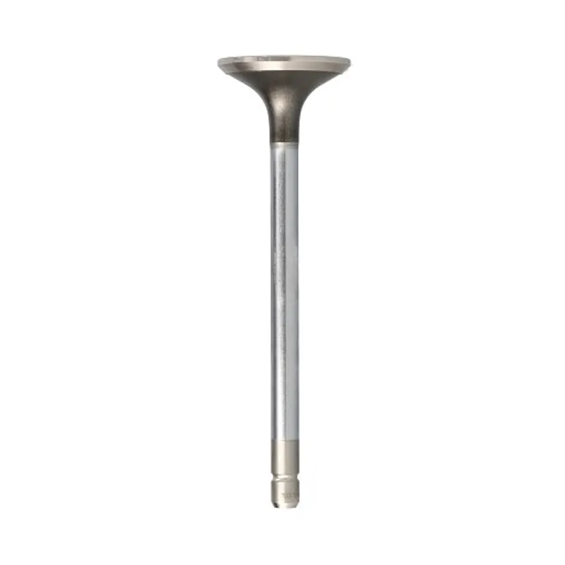 Peça código OEM 500042644 — Válvula do motor
