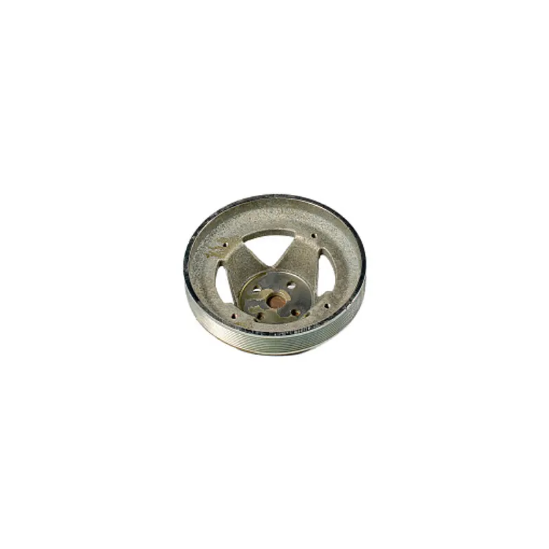 Peça código OEM 500388142 — Polia