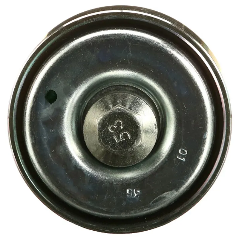 Peça código OEM 504068024 — Polia