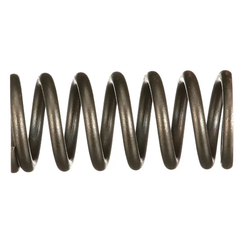 Peça código OEM 504099999 — MOLA