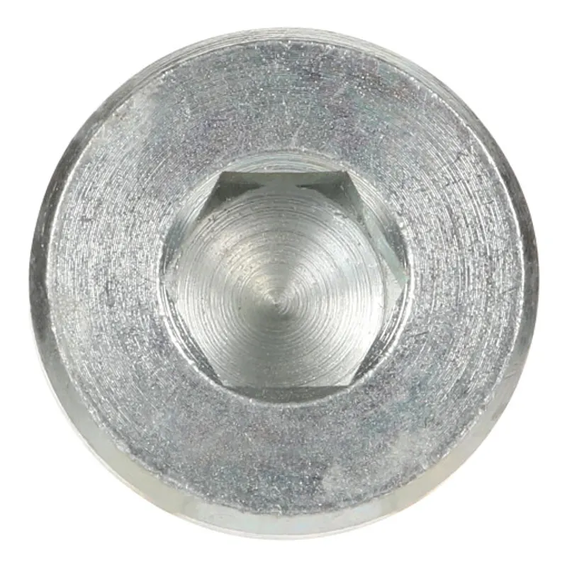Peça código OEM 504120669 — BUJÃO