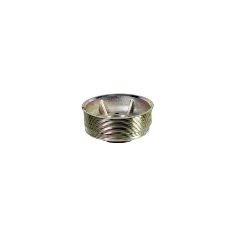 Peça código OEM 504142485 — POLIA