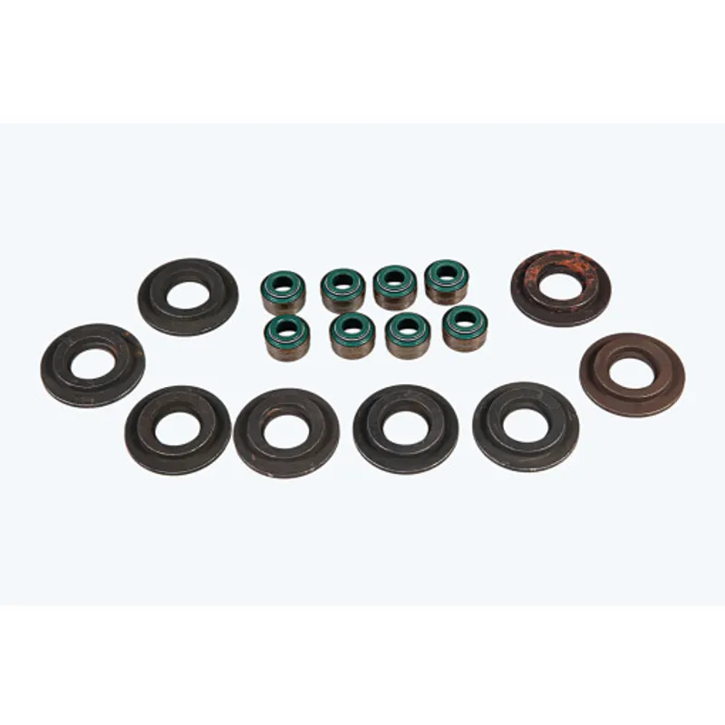 Peça código OEM 718097032 — Seals and Valves Kit