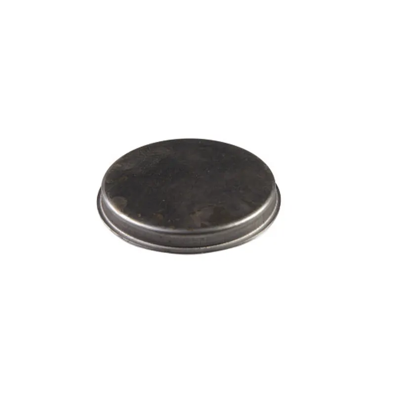 Peça código OEM 81813971 — Bujao