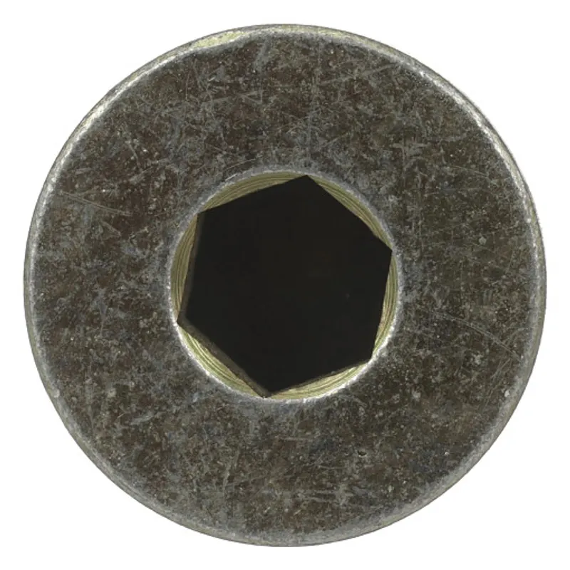 Peça código OEM 81819963 — Plug Sextavado Interno