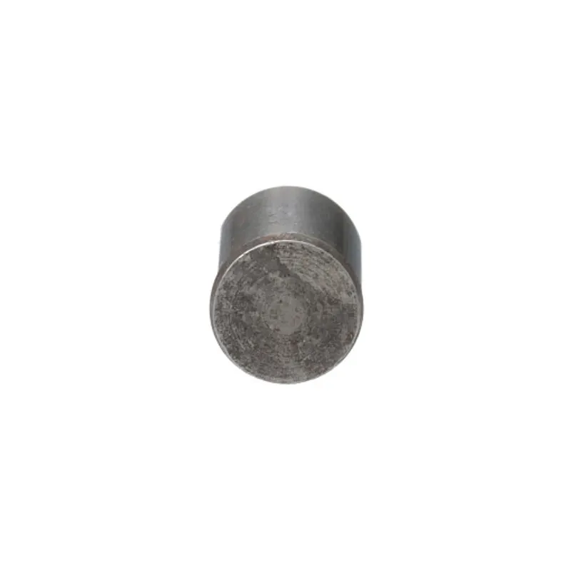 Peça código OEM 81877662 — Dowel