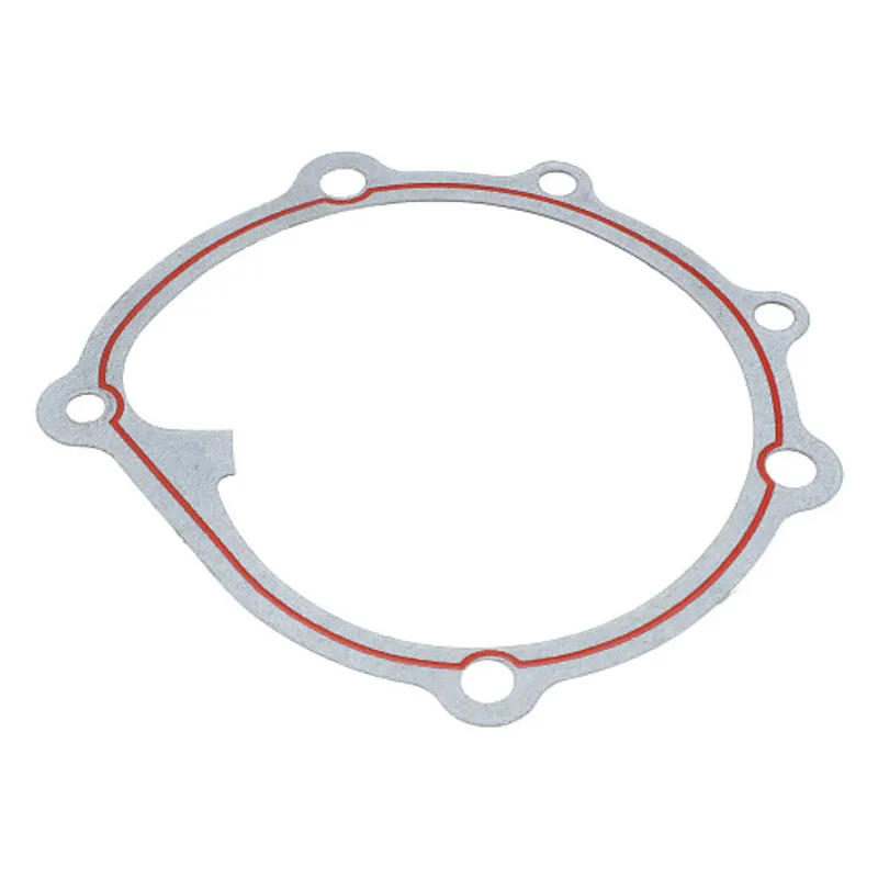 Peça código OEM 98400794 — Gaxeta da bomba de água - 0,5 mm Esp