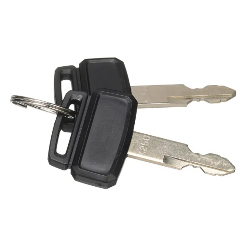 Peça código OEM PM50S01001P1 — Set of 2 Keys